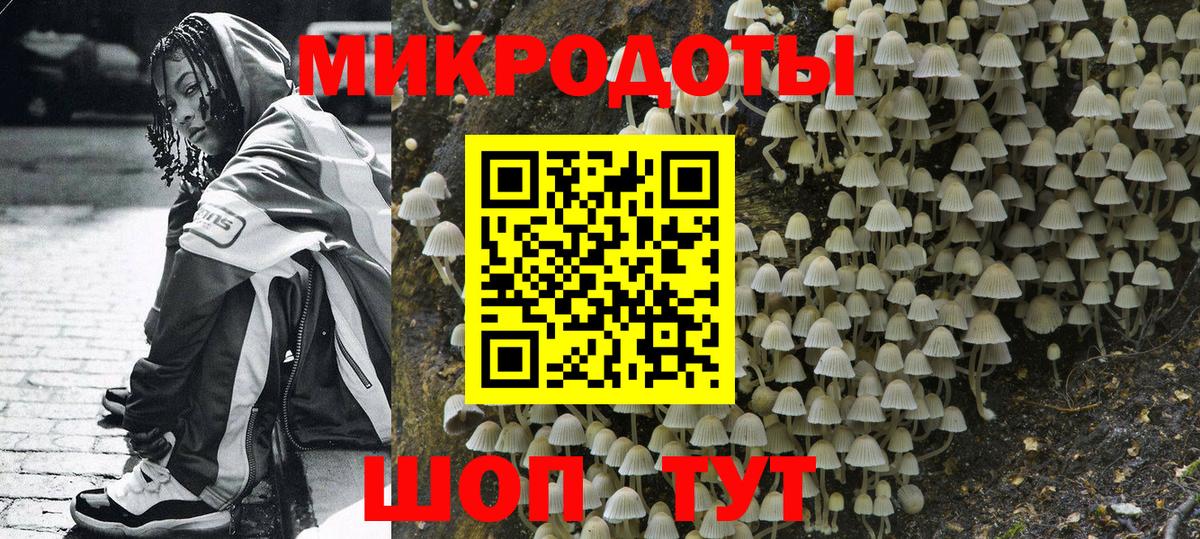 Рыбинск  Псилоцибиновые грибы мицелий  Вход с VPN  купить наркотики цена  Галлюциногенные грибы мухоморы 