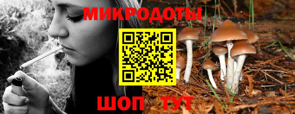 Галлюциногенные грибы MAGIC MUSHROOMS Рыбинск